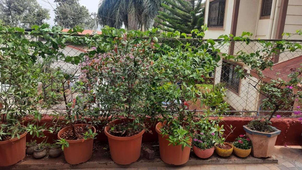 Trimurti Holiday Home بانتشجانى المظهر الخارجي الصورة